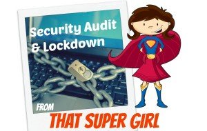 Security Audit & Lockdown
